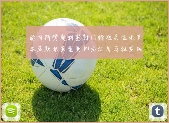 赫内斯赞奥利塞射门精准度堪比罗本莱默尔虽重要却无法与马拉多纳相提并论