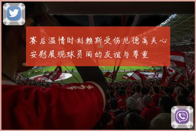赛后温情时刻赖斯受伤厄德高关心安慰展现球员间的友谊与尊重
